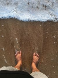 Low section of man standing on beach