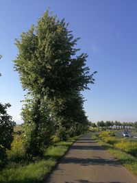 Empty road by trees against clear blue sky