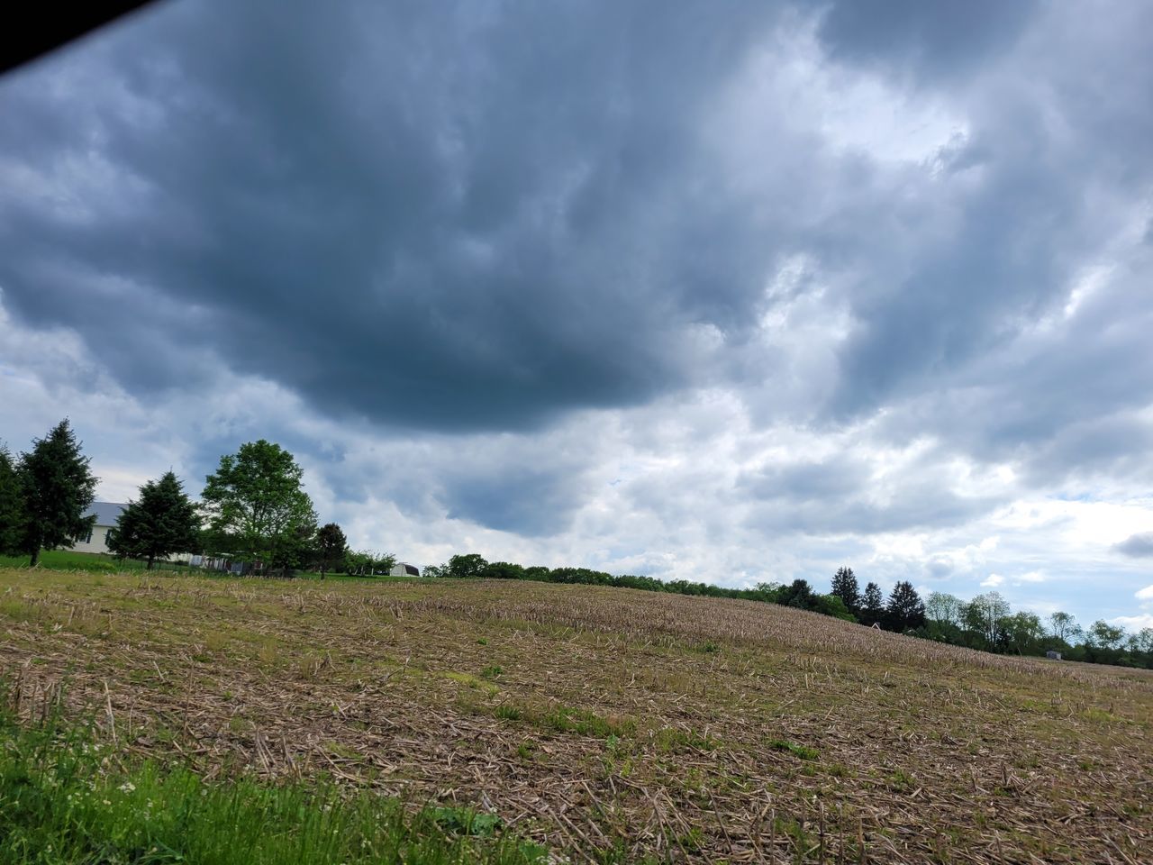 sky, cloud, environment, plant, nature, landscape, land, grass, horizon, beauty in nature, field, tree, scenics - nature, storm, no people, grassland, rural scene, storm cloud, dramatic sky, cloudscape, outdoors, thunderstorm, overcast, hill, tranquility, sunlight, prairie, growth, rural area, plain, agriculture, meadow, green, day, non-urban scene, soil