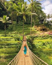 Rear view of woman walking on footbridge