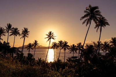 Silhouette palm trees against sky during sunset