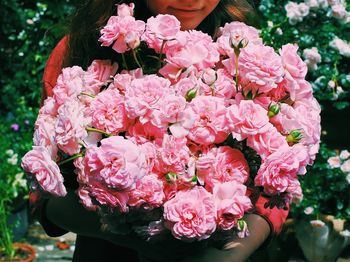 Close-up of pink roses outdoors