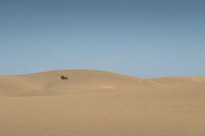 Scenic view of desert against clear sky