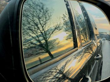 Reflection of trees on side-view mirror