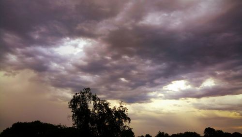 Low angle view of silhouette trees against storm clouds