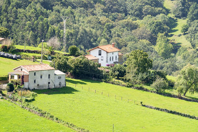 Houses on field