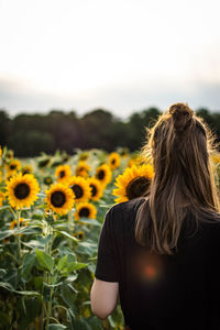 Rear view of woman standing on sunflower field