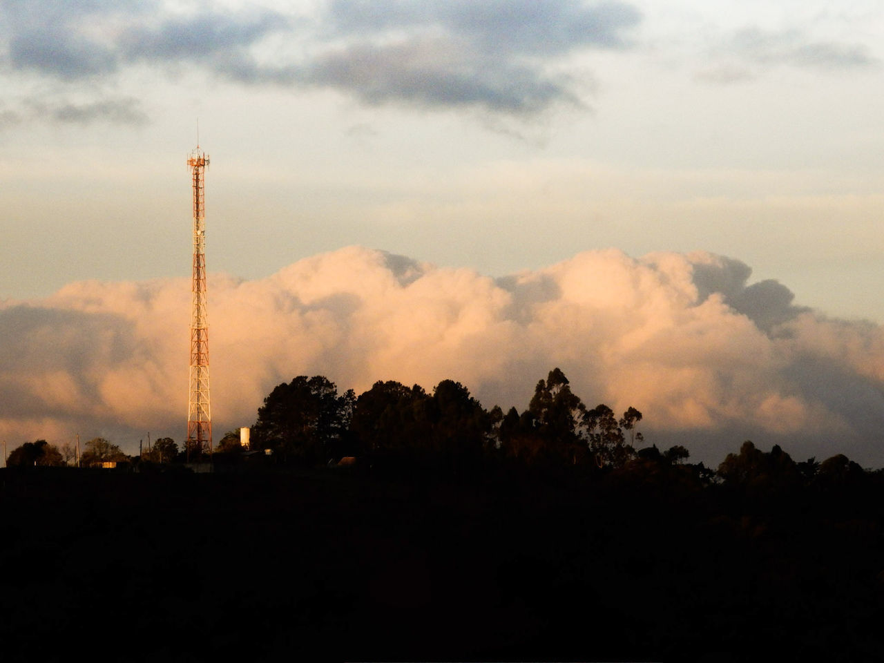 LOW ANGLE VIEW OF SILHOUETTE TREES AGAINST SKY