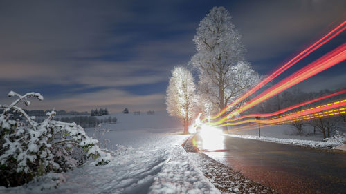 A snowy day covering the trees with thick snow making a magical landscape with light trails.