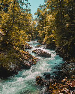 River flowing amidst rocks in forest