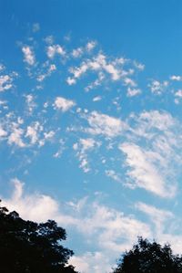 Low angle view of trees against blue sky