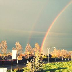 Scenic view of rainbow over field