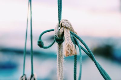 Close-up of knotted ropes