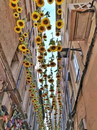 Low angle view of people on alley amidst buildings in city