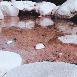 High angle view of snow on rocks