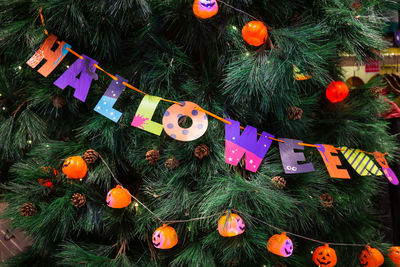 Close-up of christmas decorations on tree