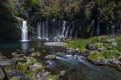 Scenic view of waterfall in forest