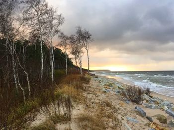 Scenic view of beach against sky during sunset