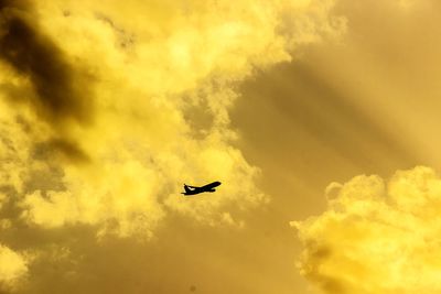 Low angle view of bird flying in sky