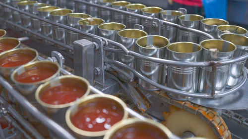 Canned fish factory. food industry. many can of sardines on a conveyor belt. sardines in red tomato