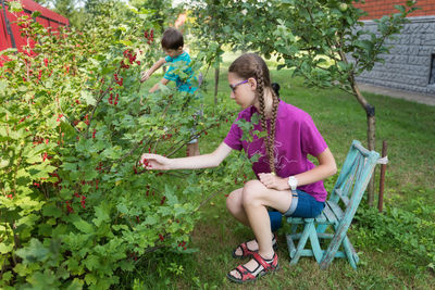 Children pick berries