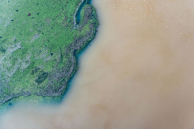 High angle view of water against white background