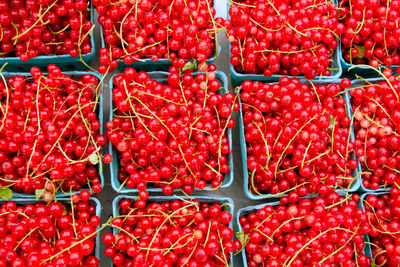 Full frame shot of redcurrants for sale at market