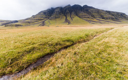 Scenic view of field against sky