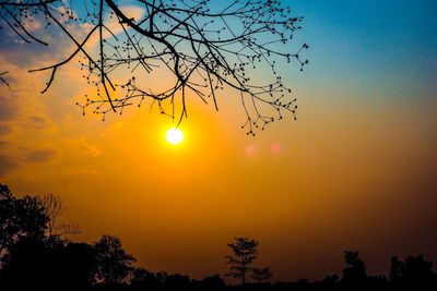 Low angle view of silhouette trees against romantic sky