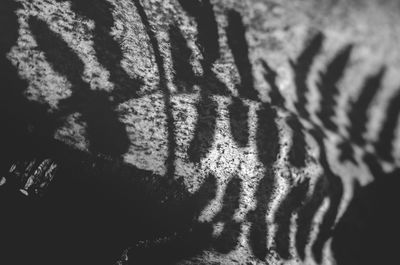Full frame shot of shadow on wall