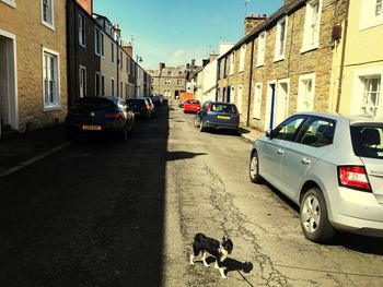 View of cars on street in city