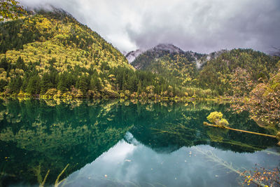 Scenic view of lake by trees against sky