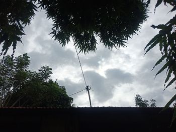Low angle view of silhouette trees against sky
