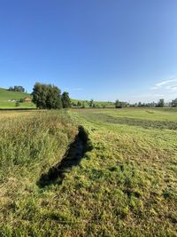 Scenic view of field against sky