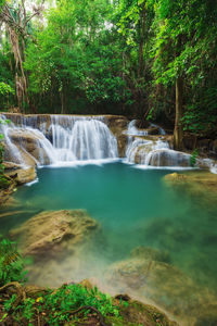 Scenic view of waterfall in forest