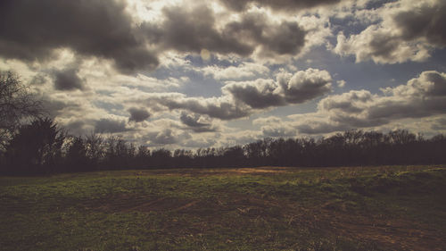 Scenic view of field against sky