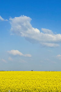 sky