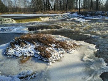 Frozen river amidst trees during winter