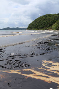 Scenic view of beach against sky