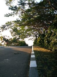 Empty road by trees in city against sky