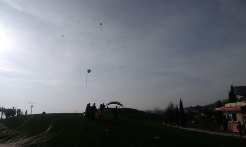 Bird flying over the sky