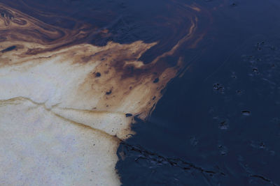 High angle view of sea shore