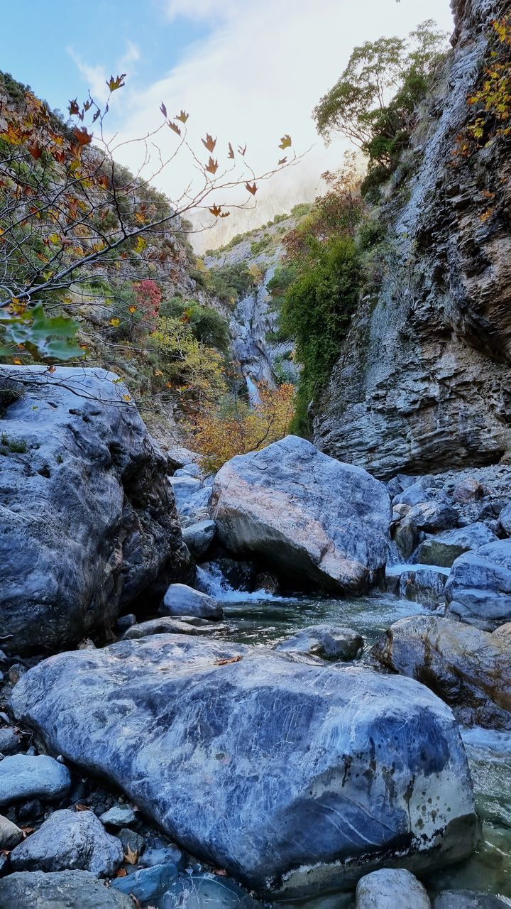 rock, nature, wilderness, water, mountain, beauty in nature, river, land, scenics - nature, sky, environment, no people, animal wildlife, landscape, outdoors, tree, day, stream, animal, autumn, animal themes, wildlife, cloud, coast, plant, tranquility, cliff, rapid, non-urban scene, travel destinations, terrain, shore, tranquil scene, geology, adventure, travel, bird