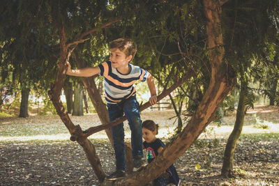 Smiling boy climbing on tree by sister in park