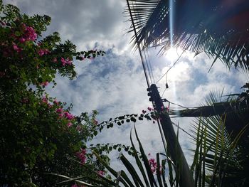 Scenic view of silhouette plants by trees against sky