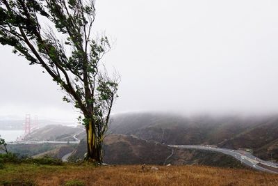 Scenic view of landscape against clear sky during foggy weather