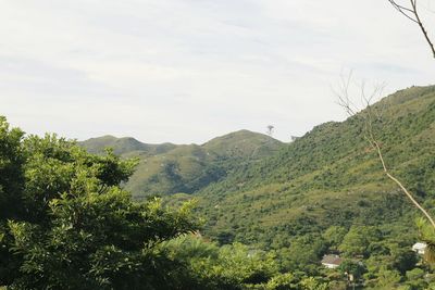 Scenic view of tree mountains against sky