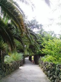 Woman walking by palm trees against sky