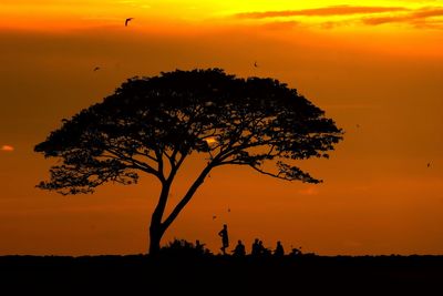 Silhouette tree on field against orange sky