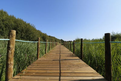 Footbridge amidst trees against clear blue sky